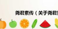 堯君素傳(關于堯君素傳簡介)