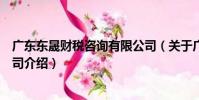 廣東東晟財稅咨詢有限公司(關于廣東東晟財稅咨詢有限公司介紹)
