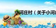 小河莊村(關于小河莊村簡介)