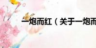 一炮而紅(關于一炮而紅的簡介)