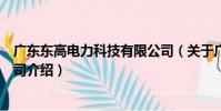 廣東東高電力科技有限公司(關于廣東東高電力科技有限公司介紹)