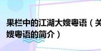 果欄中的江湖大嫂粵語(關于果欄中的江湖大嫂粵語的簡介)