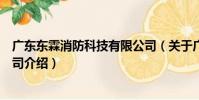 廣東東霖消防科技有限公司(關于廣東東霖消防科技有限公司介紹)