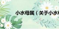 小水母屬(關于小水母屬簡介)
