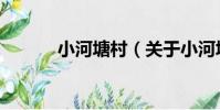小河塘村(關于小河塘村簡介)