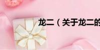 龍二(關于龍二的簡介)