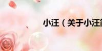 小汪(關于小汪簡介)
