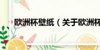 歐洲杯壁紙(關于歐洲杯壁紙的簡介)