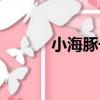 小海豚號（關于小海豚號簡介）