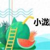 小瀧膠（關于小瀧膠簡介）