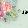 186靚號網（186靚號）