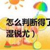 怎么判斷得了尖濕銳尤圖片（怎么判斷得了尖濕銳尤）