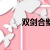 雙劍合璧（關于雙劍合璧的簡介）
