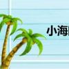 小海眼（關于小海眼簡介）