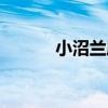 小沼蘭屬（關于小沼蘭屬簡介）