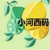小河西碼頭（關于小河西碼頭簡介）