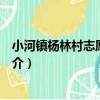 小河鎮楊林村志愿服務隊（關于小河鎮楊林村志愿服務隊簡介）