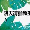 陰夫請指教巫朦塵小說在線閱讀(陰夫請指教)