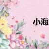 小海蜷（關于小海蜷簡介）