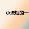 小流氓的一生（關于小流氓的一生簡介）