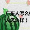 廣東人怎么樣,社會上對廣東人的評價（廣東人怎么樣）