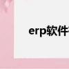 erp軟件有什么（什么是erp軟件）