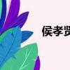 侯孝賢（關于侯孝賢的簡介）