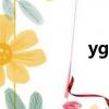 ygr是什么簡稱(ygr)