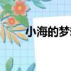 小海的夢想（關于小海的夢想簡介）