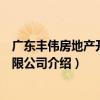 廣東豐偉房地產開發有限公司（關于廣東豐偉房地產開發有限公司介紹）