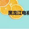 黑龍江電視報電子版（黑龍江電視報）