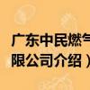 廣東中民燃氣有限公司（關于廣東中民燃氣有限公司介紹）