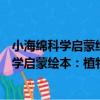 小海綿科學啟蒙繪本：植物王國的結婚儀式（關于小海綿科學啟蒙繪本：植物王國的結婚儀式簡介）
