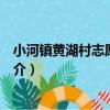 小河鎮黃湖村志愿服務隊（關于小河鎮黃湖村志愿服務隊簡介）