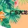 廣東九龍灣（關于廣東九龍灣介紹）