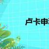 盧卡申科父親(盧卡申科兒子)