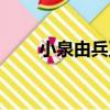 小泉由兵衛（關于小泉由兵衛簡介）