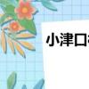 小津口村（關于小津口村簡介）