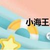 小海王島（關于小海王島簡介）