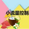 小流量控制器（關于小流量控制器簡介）