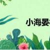 小海晏村（關于小海晏村簡介）