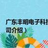 廣東豐明電子科技有限公司（關于廣東豐明電子科技有限公司介紹）