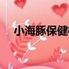 小海豚保健枕（關于小海豚保健枕簡介）