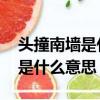 頭撞南墻是什么意思,是什么生肖（頭撞南墻是什么意思）
