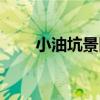 小油坑景區（關于小油坑景區簡介）
