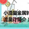 小流量金屬轉子流量計（關于小流量金屬轉子流量計簡介）