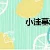 小洼墓群（關于小洼墓群簡介）
