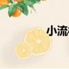小流村（關于小流村簡介）