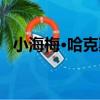 小海梅·哈克斯（關于小海梅·哈克斯簡介）