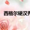 西格爾硬漢秀（關于西格爾硬漢秀的簡介）